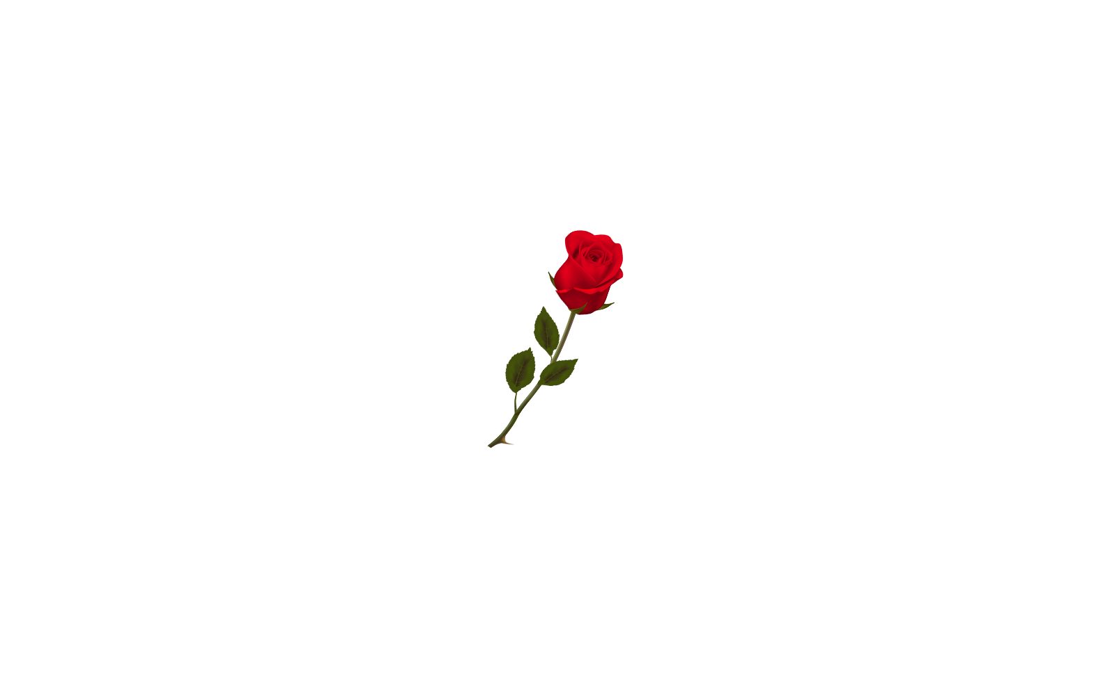 Single red rose with a green stem and leaves, centered on a white background